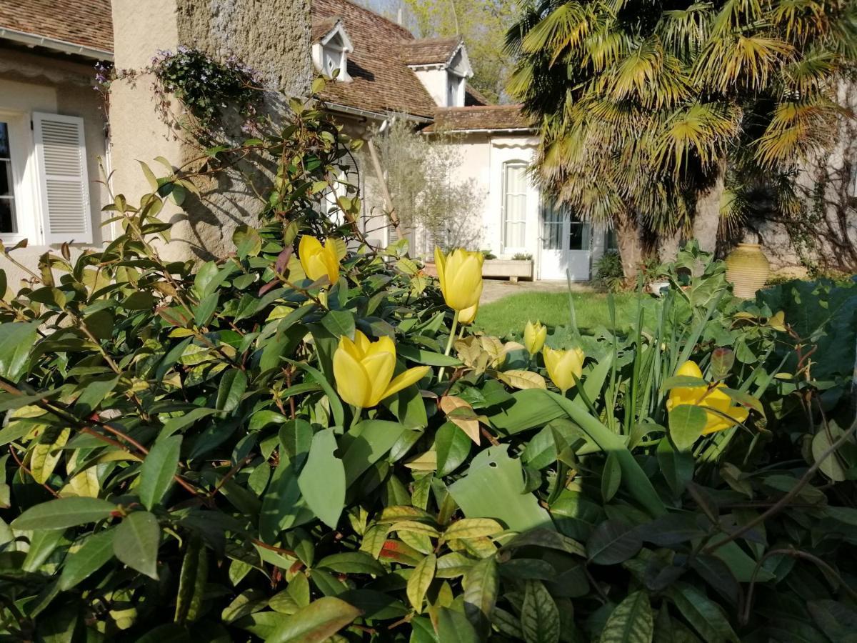 Chambres Et Tables D'Hotes Du Puits D'Athie Appoigny Kültér fotó